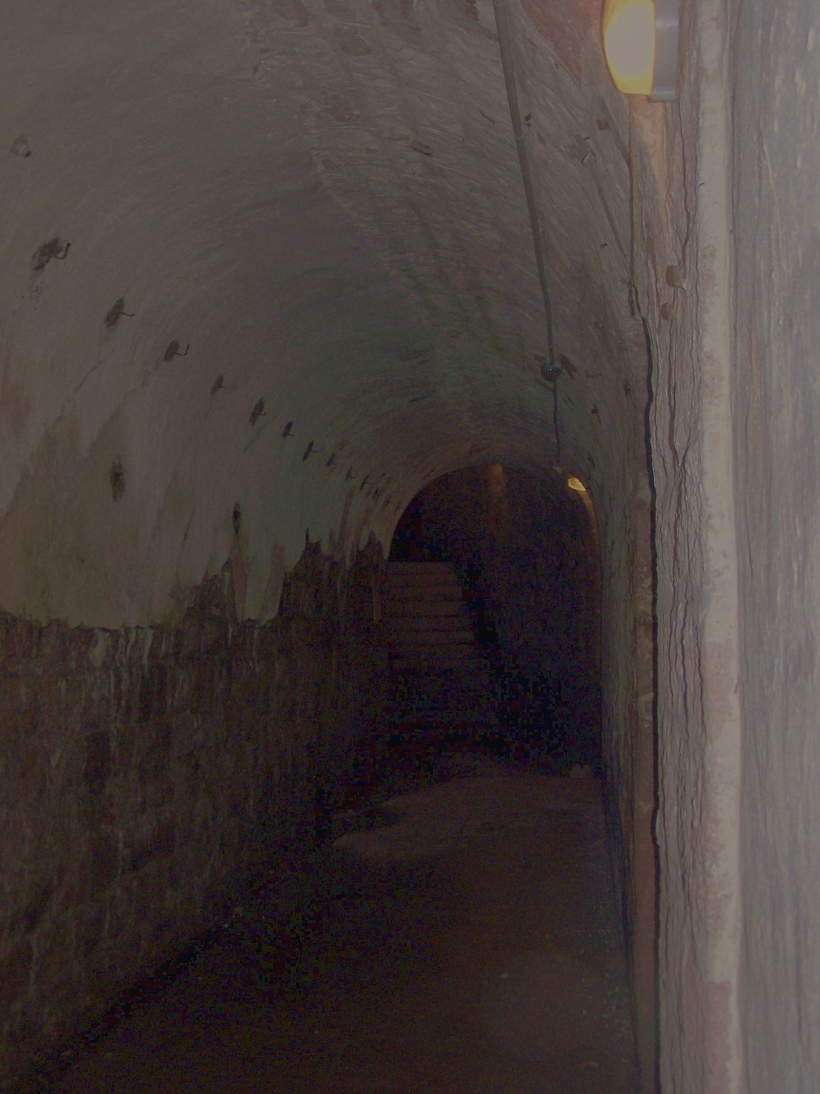 Fort Dorsner à Giromagny 042 photo